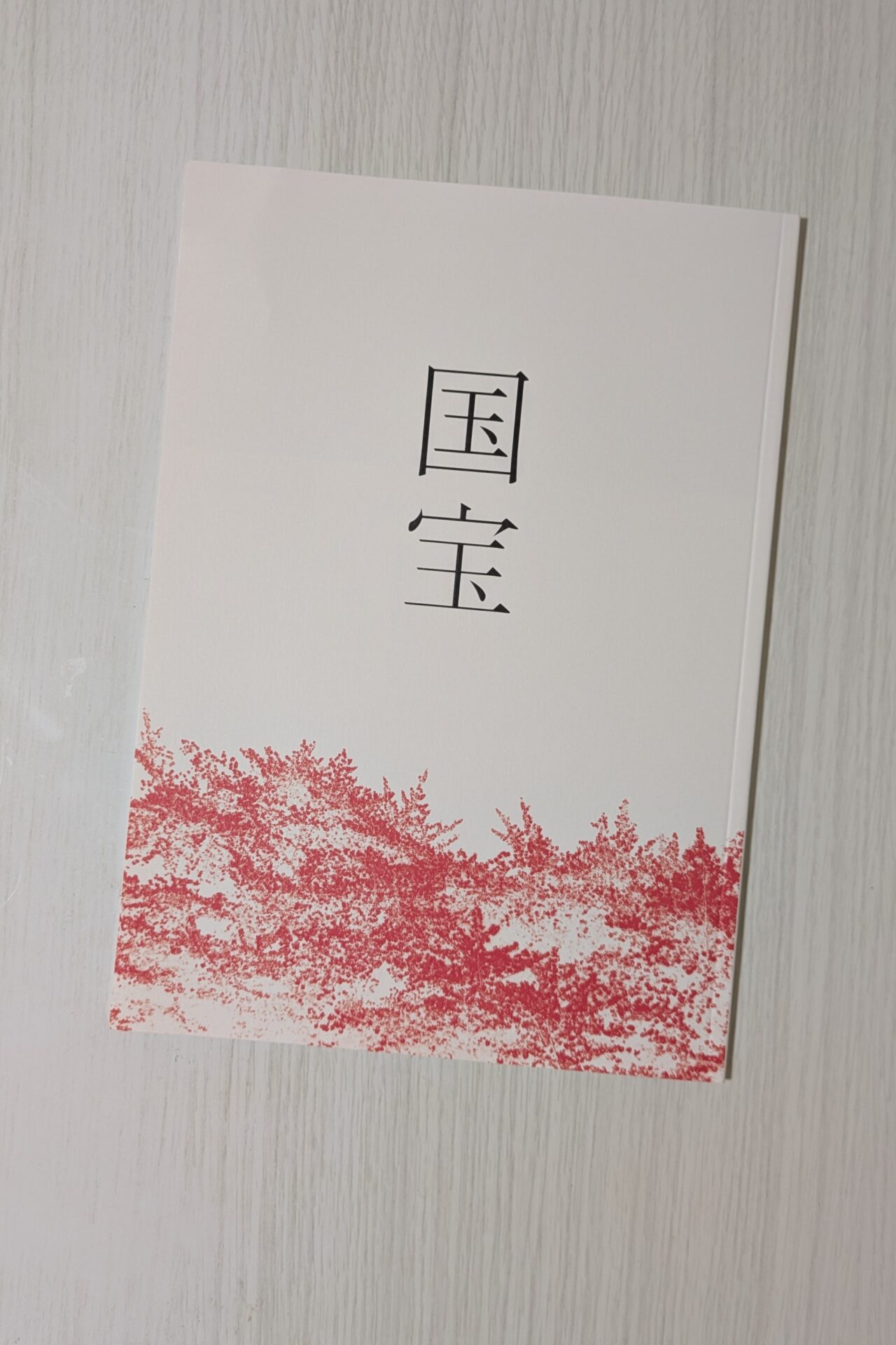【日記】映画『国宝』を観て感じたことをつらつらと書いただけ(R7.6.25)